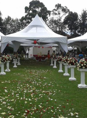 500 Pax Garden Wedding with Hexagonal Tents Set Up Package