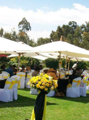 500 Pax Garden Wedding with Parasols Set Up Package